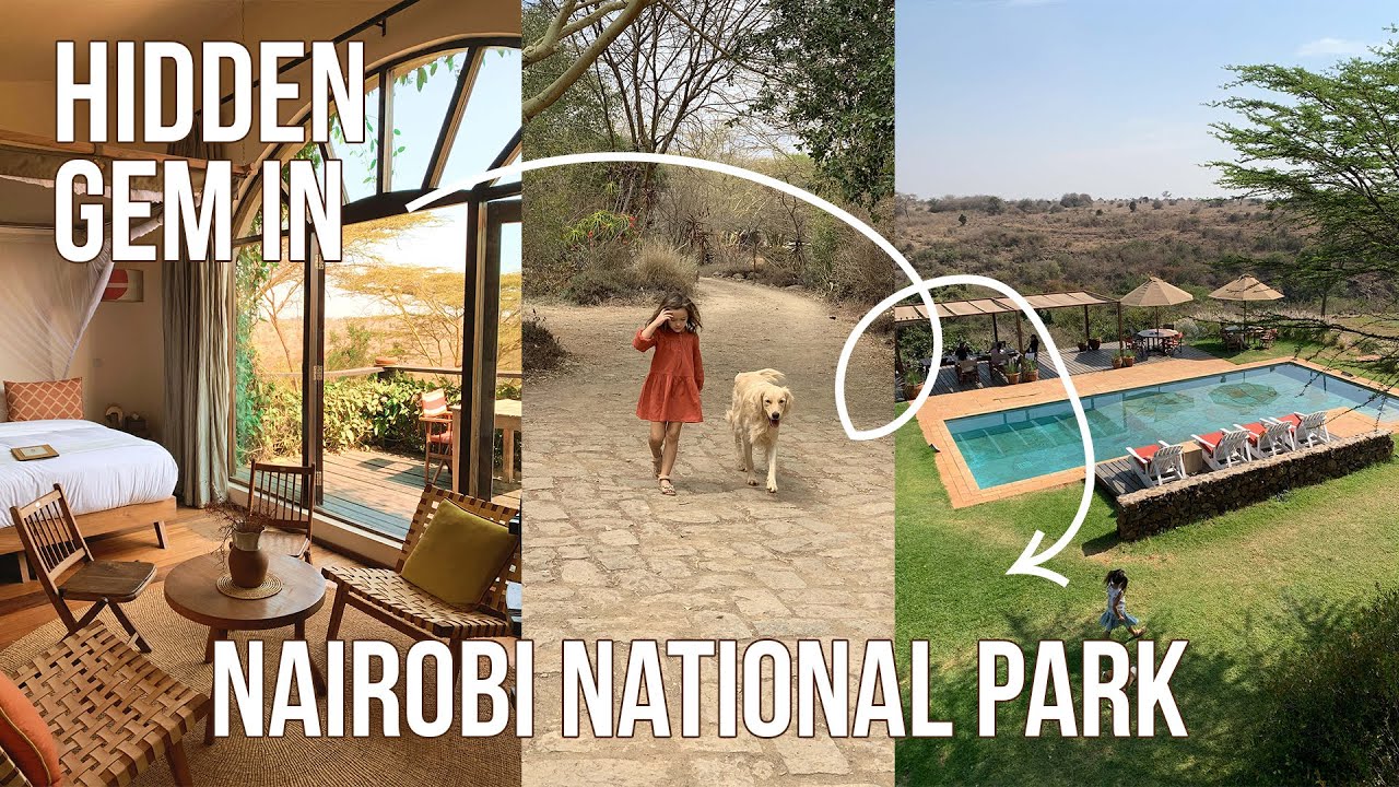 Nairobi National Park Stay | Tips on how to become a content creator with a mobile phone only