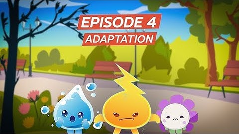 Video 04 - Adaptation