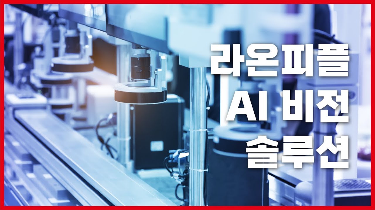 [라온피플] AI 비전 솔루션 사례