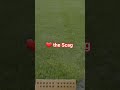 Cut one Direction now Another love the scag #lawnlife #lawncare #lawncarenation #scag #scagnation