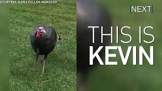 We'll never forget you, Kevin