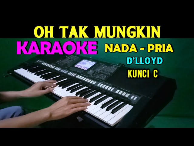 OH TAK MUNGKIN - D'lloyd | KARAOKE Nada Pria HD class=