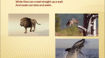 NCERT/CLASS 3 ENGLISH/  HOW CREATURES MOVE