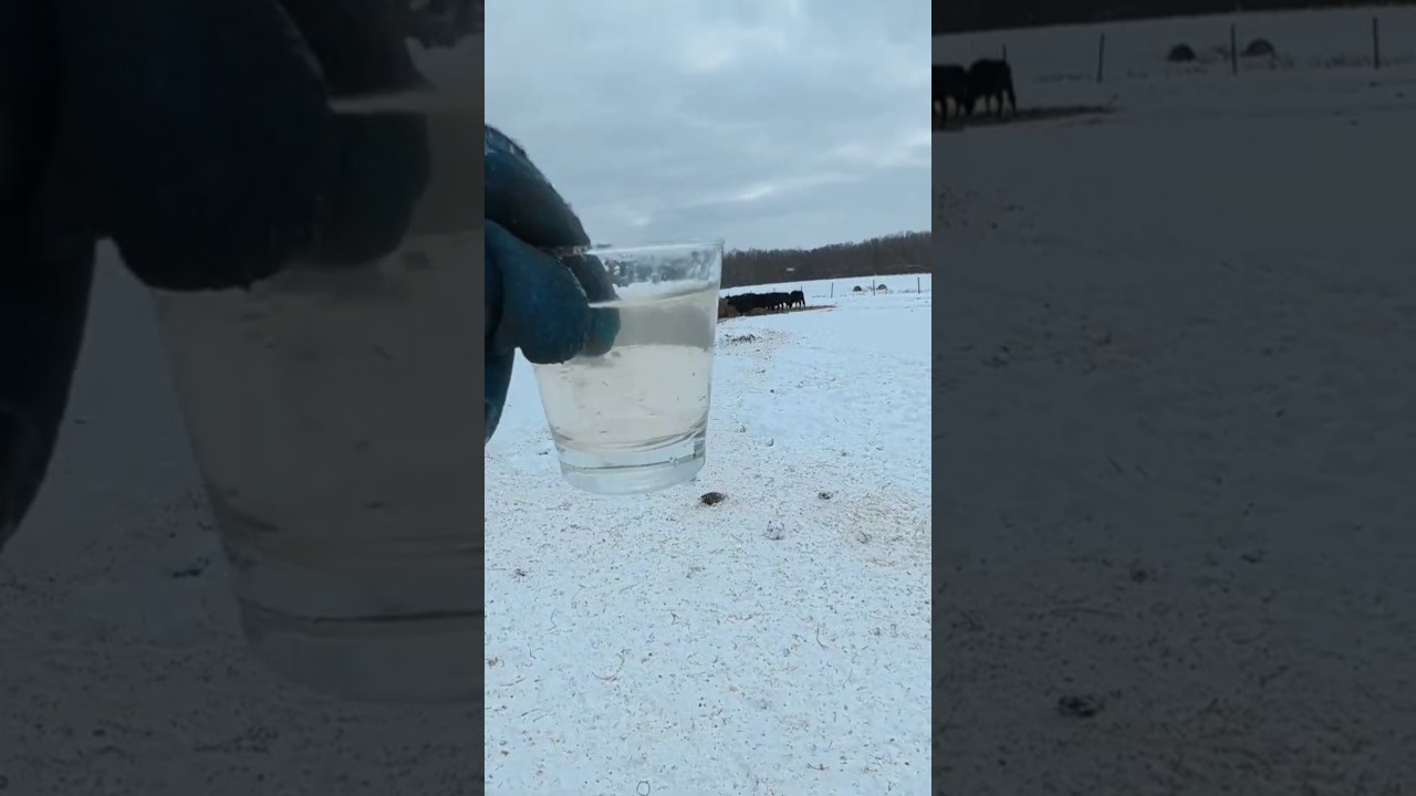 Dirty water Controversy! 