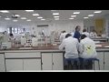 Bsc degree in pharmaceutical science technology and business  school of pharmacy keele university