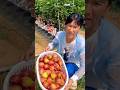 Figs fruit farming life and harvest activity #agriculture #shorts #life #farming #viral