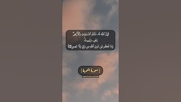 سورة التوبة الآية ١١٦ و ١١٧ بصوت الشيخ محمد صديق المنشاوي
