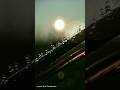 try this Sunset dewdrop macro lens🌿 photography #tipsandtricks #macro #ytshorts #shorts #viralvideo