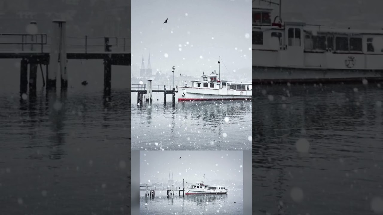 Swiss lakes | Geneva | Four Cantons | Mouette | Switzerland | travel pass | 