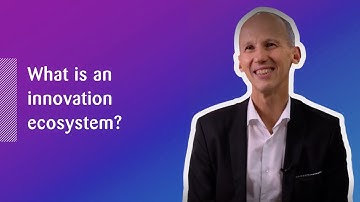 What is an innovation ecosystem?