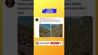 Koçari Sürüsü🙀Şacakbudeniz