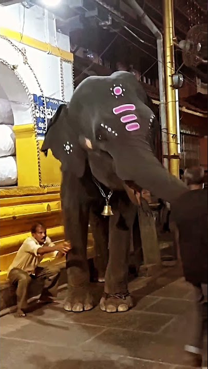 hathi Mera sathi funny video 😂