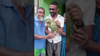 ভইযর জনয গফট পঠচছন সরদর Mud Crab Of Sundarbans