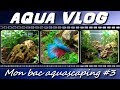 Introduction poissons bac 60 litres aqua vlog