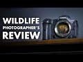 Canon R5 for Wildlife Photography - REVIEW