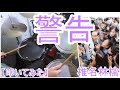 警告 / 椎名林檎【ドラム】【叩いてみた】