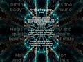 441Hz Healing Frequency Mandala | Calm Your Nervous System