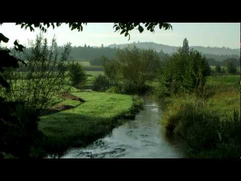 Renaturation des cours d'eau en Suisse (version longue)