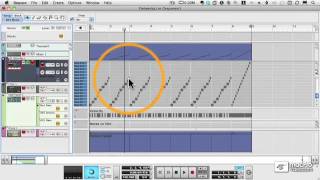 41  Editing Rex Slices
