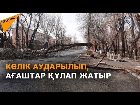 Video: Жаңгак жана кургатылган жемиштерден жасалган мафинди кантип жасашат