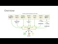 Baltimore Scheme- Viral Classification System