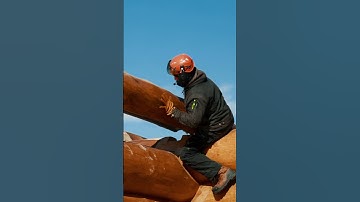Moving and placing these large round log statements takes a dedicated and detail-oriented team.