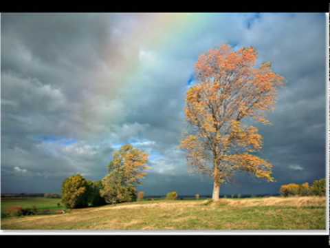 Somewhere Over the Rainbow-Anna Whitney