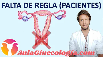 ¿Cuánto tiempo es normal sin menstruación?