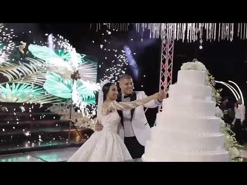 تشغيل الفيديو