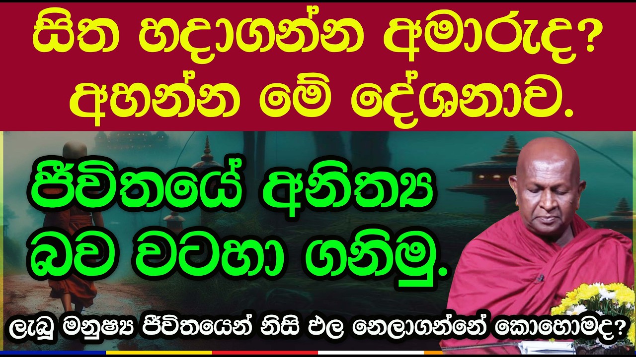 ලැබූ මනුෂ්‍ය ජීවිතයෙන් නිසි ඵල නෙලාගන්නේ කොහොමද? - අතිපූජ්‍ය අරියධජ ස්වාමීන් වහන්සේ | 1019