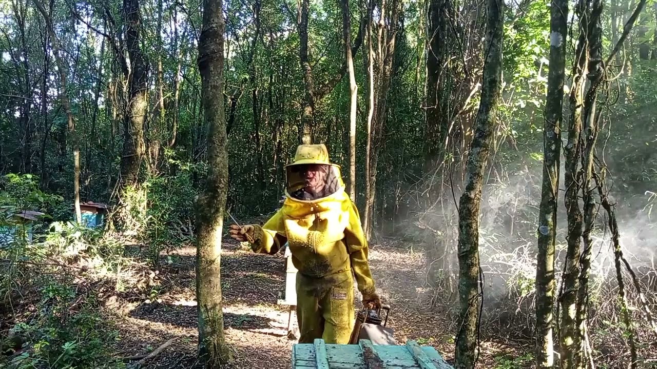 Como avaliar uma rainha antes de trocar ela 