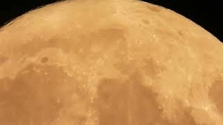 Luna crescente, 11 agosto 2022 ore 21 e  30