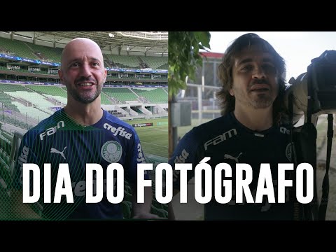 Vídeo: Como são chamadas as palmeiras curtas?