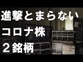 【注目株データ分析】コロナ環境で好業績がとまらない成長株【2021年3月2週時点】