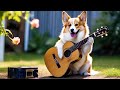 1 Hour Guitar Playlist - Vol.3