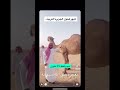 فحول الجزيره العربيه