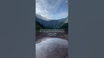 تلاوة خاشعة للشيخ الغامدي | مقام الحجاز