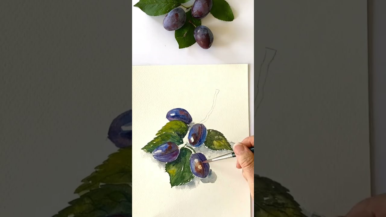 Zwetschgen (Pflaumen) mit Aquarell malen #shorts - YouTube