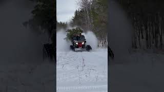 Express delivery of Christmas trees😂 tiktok: micah.sandman #viral #shorts #christmas