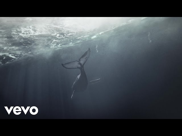Gabríel Ólafs - Whale Overture