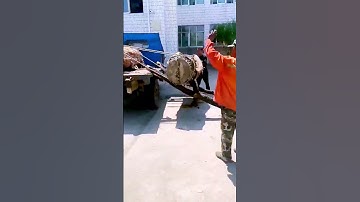 The process of loading wood = a good approach can do more with less