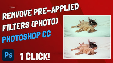 Remove Pre-Applied Filters From Photos - Photoshop & Camera Raw | #photoshop