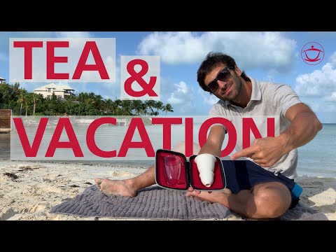 Tea On Vacation: The Best Tea Set for Gongfu Tea On The Road