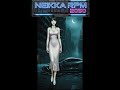Demolition Road Saga - Neikka RPM 2050