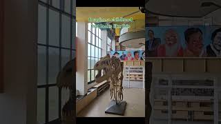 The Power of a Beautiful Learning Environment | Ekya Early Years