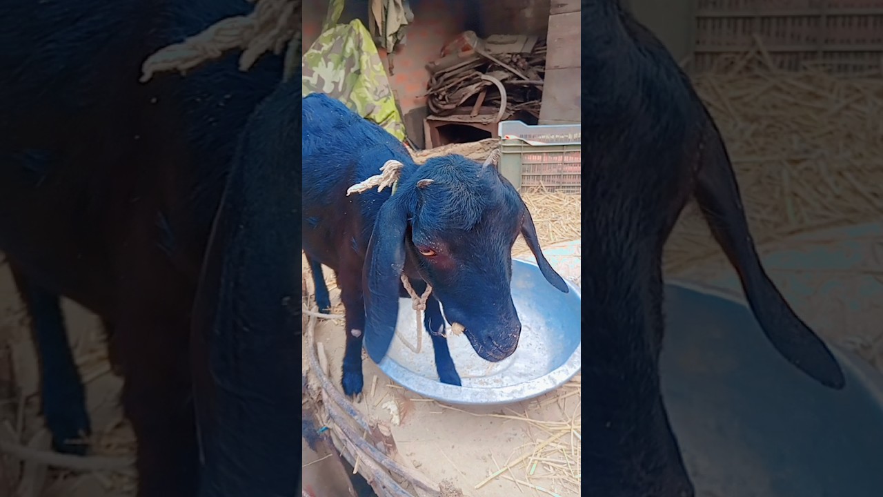 ফজরের নামাজ শুধু নামাজ নয় 