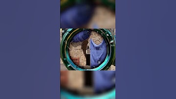 I am very scared. #codm #codmth #codmobile #callofdutymobile #shortvideo #shorts #gaming #cod