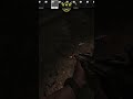 Timi on a Stealth Mission: Steal the Key! Woods