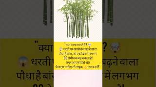 क्या आप जानते हैं? 🤯 #facts #vairalshort #youtubeshorts #trending #2025