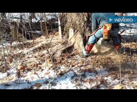 Logging in the flat lands of Ohio.